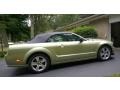 Ford Mustang GT Premium Convertible Legend Lime Metallic photo #9