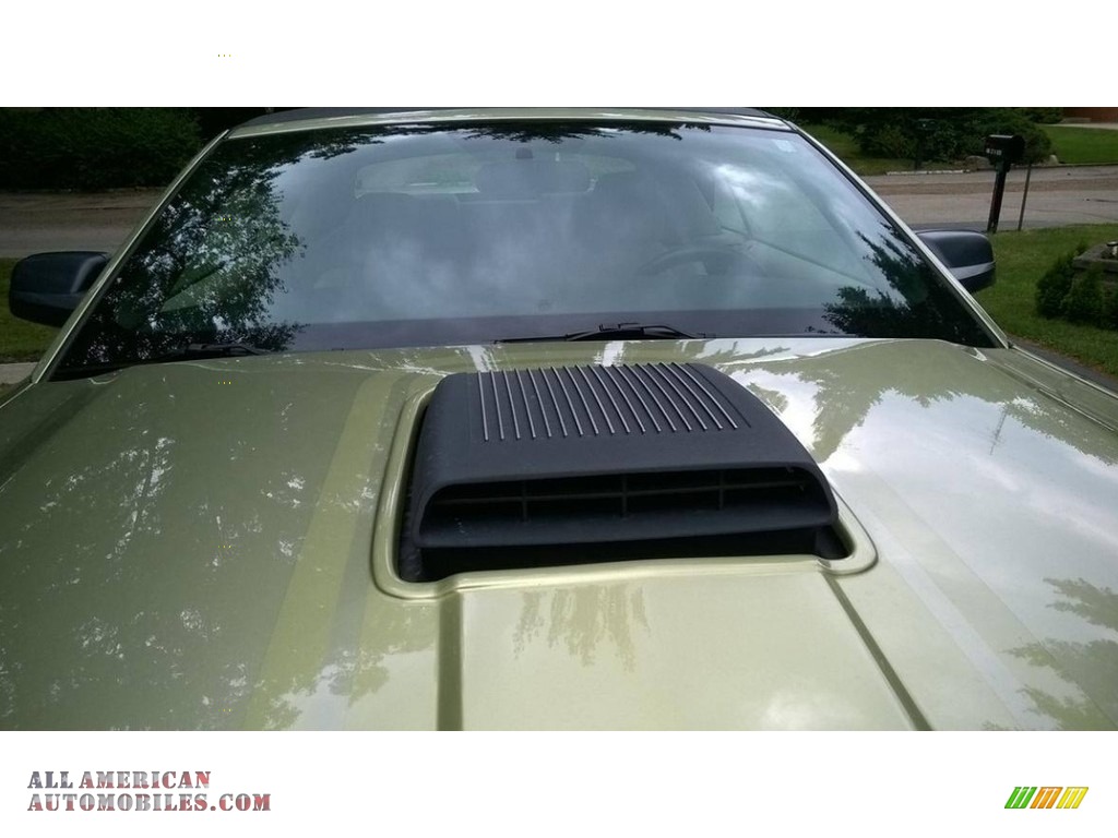 2006 Mustang GT Premium Convertible - Legend Lime Metallic / Light Parchment photo #11