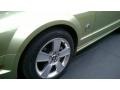 Ford Mustang GT Premium Convertible Legend Lime Metallic photo #30
