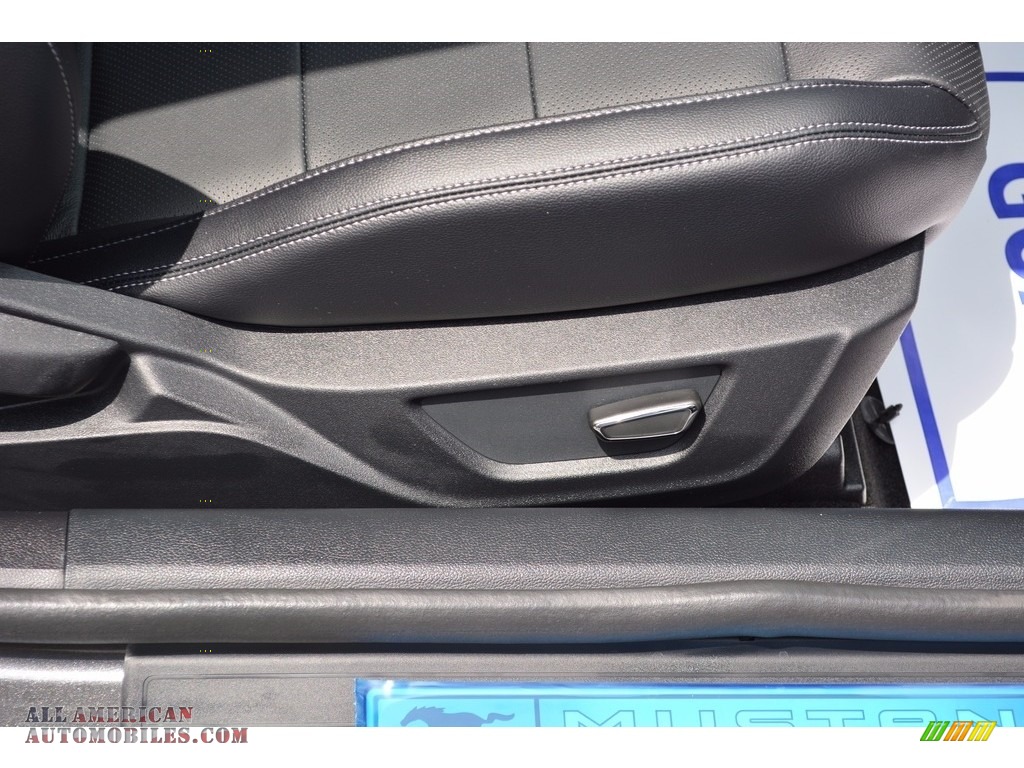 2017 Mustang EcoBoost Premium Coupe - Magnetic / Ebony photo #22