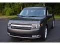 Ford Flex SEL Magnetic photo #14