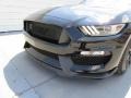 Ford Mustang Shelby GT350 Shadow Black photo #10