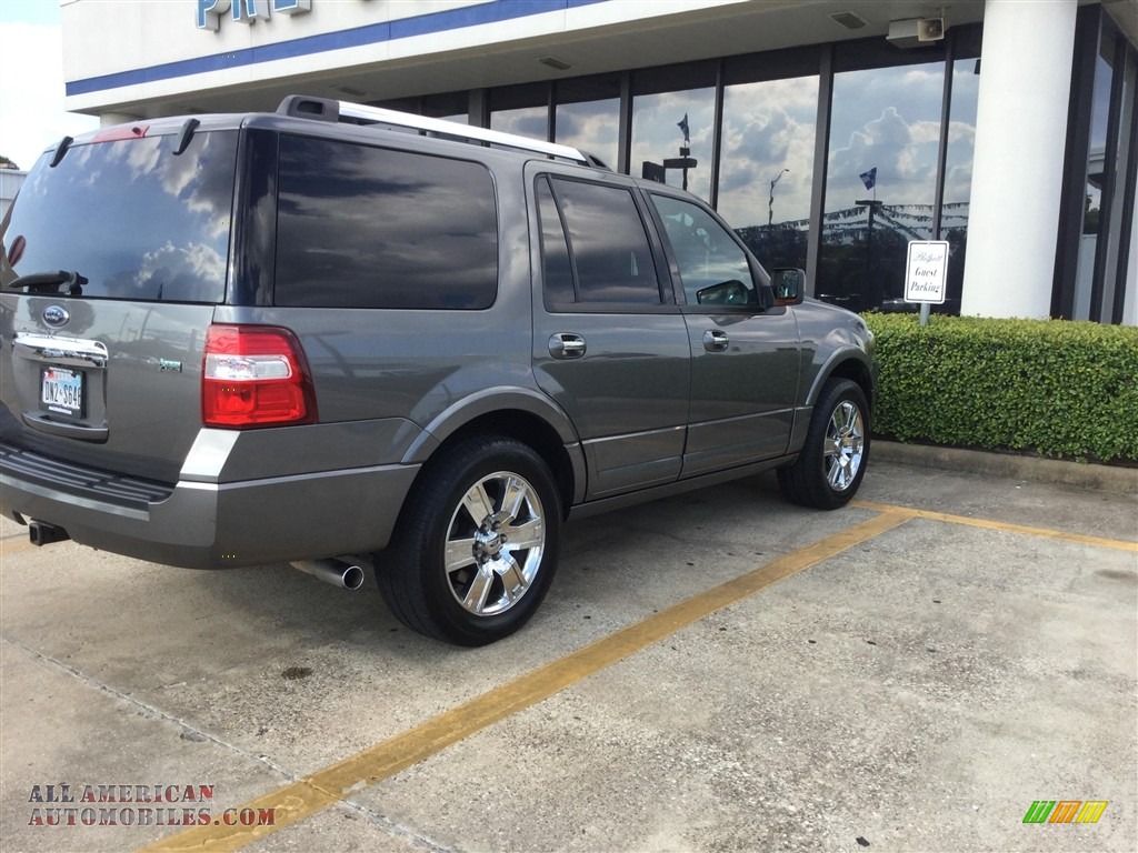 2010 Expedition Limited - Sterling Grey Metallic / Charcoal Black photo #4