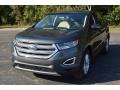 Ford Edge SEL Magnetic photo #9
