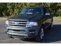 Ford Expedition EL Platinum 4x4 Magnetic photo #11