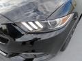 Ford Mustang Ecoboost Coupe Shadow Black photo #9