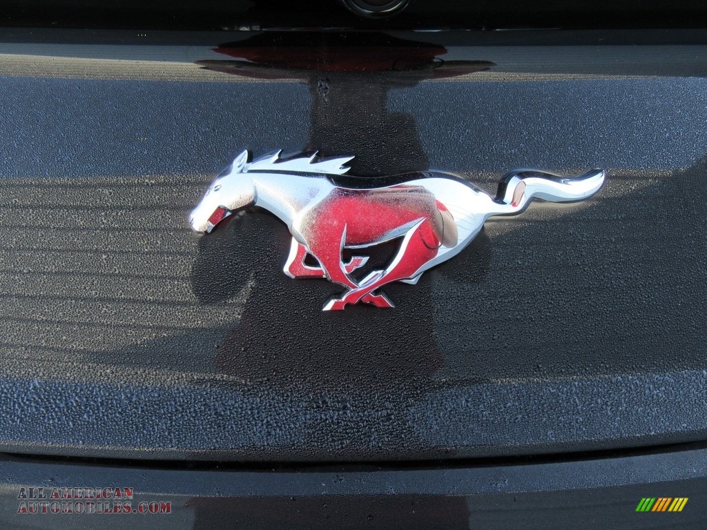 2017 Mustang Ecoboost Coupe - Shadow Black / Ebony photo #14