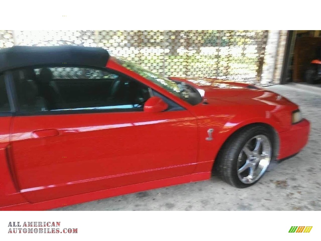 2004 Mustang Cobra Convertible - Torch Red / Dark Charcoal photo #4