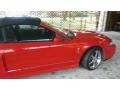 Ford Mustang Cobra Convertible Torch Red photo #4
