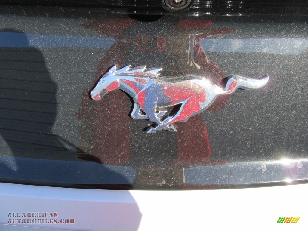2017 Mustang Ecoboost Coupe - White Platinum / Ebony photo #13