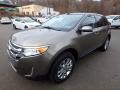 Ford Edge Limited AWD Mineral Grey Metallic photo #7