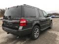 Ford Expedition XLT 4x4 Magnetic photo #5