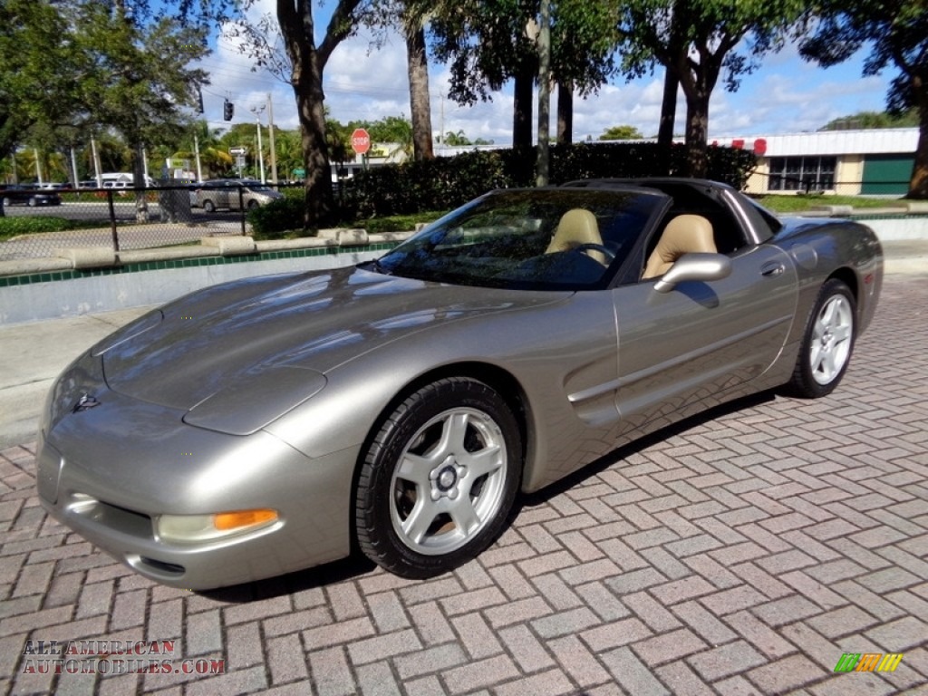 1999 Corvette Coupe - Light Pewter Metallic / Light Oak photo #1