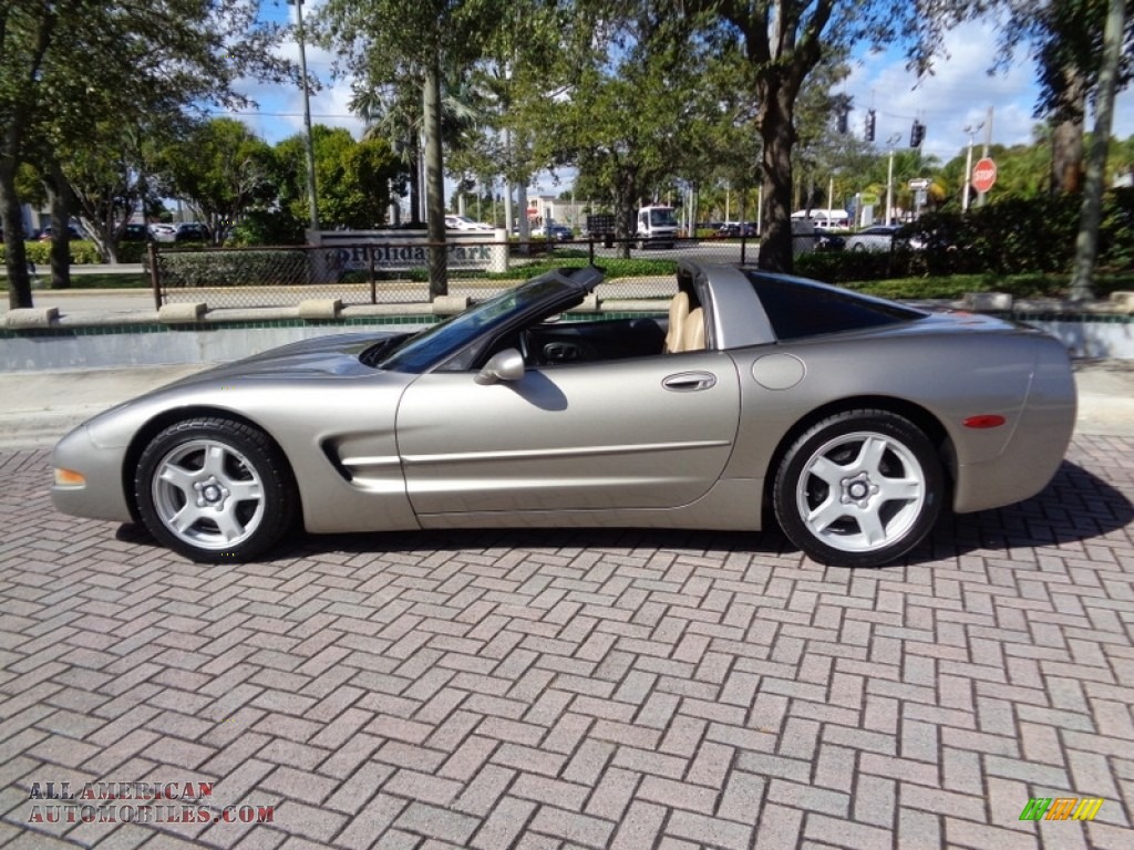 1999 Corvette Coupe - Light Pewter Metallic / Light Oak photo #3