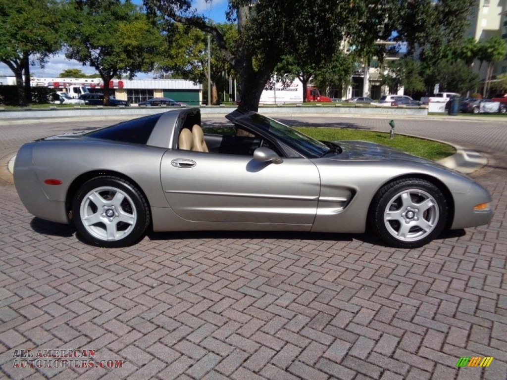 1999 Corvette Coupe - Light Pewter Metallic / Light Oak photo #11
