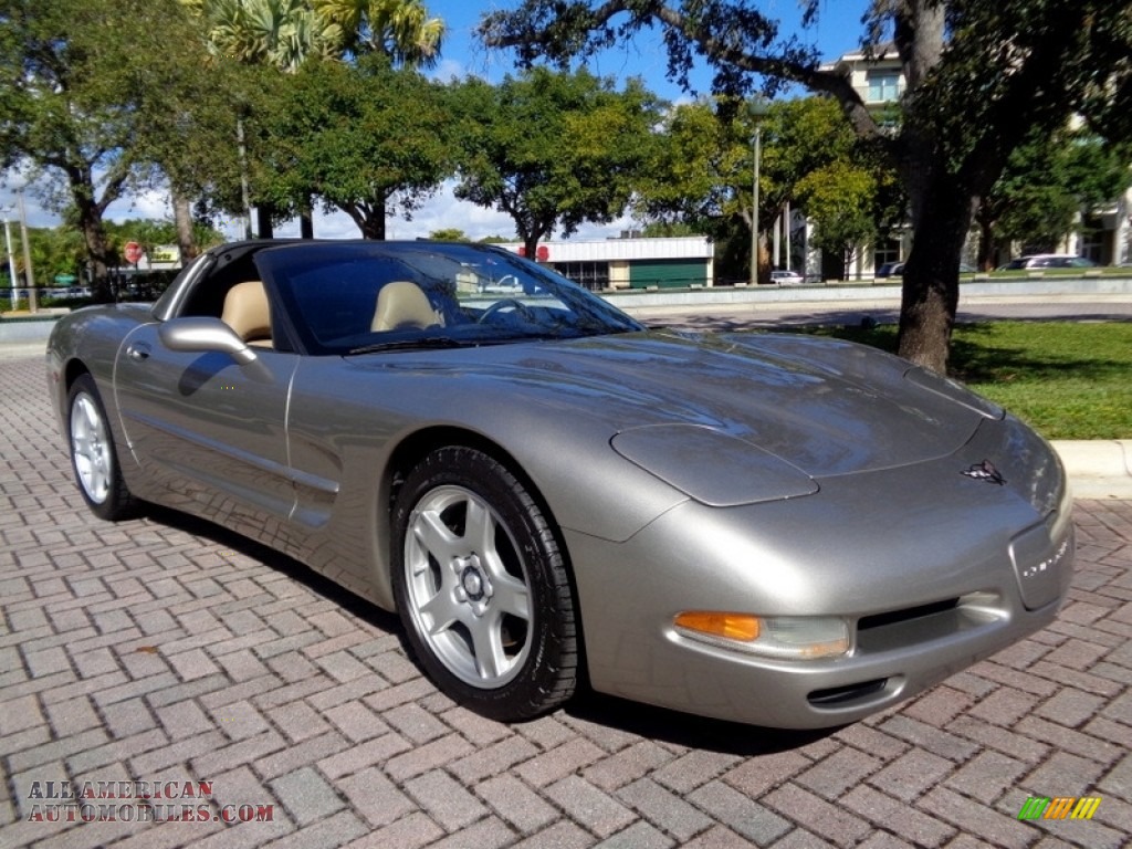 1999 Corvette Coupe - Light Pewter Metallic / Light Oak photo #13