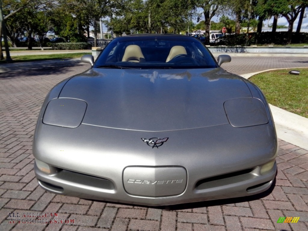 1999 Corvette Coupe - Light Pewter Metallic / Light Oak photo #15