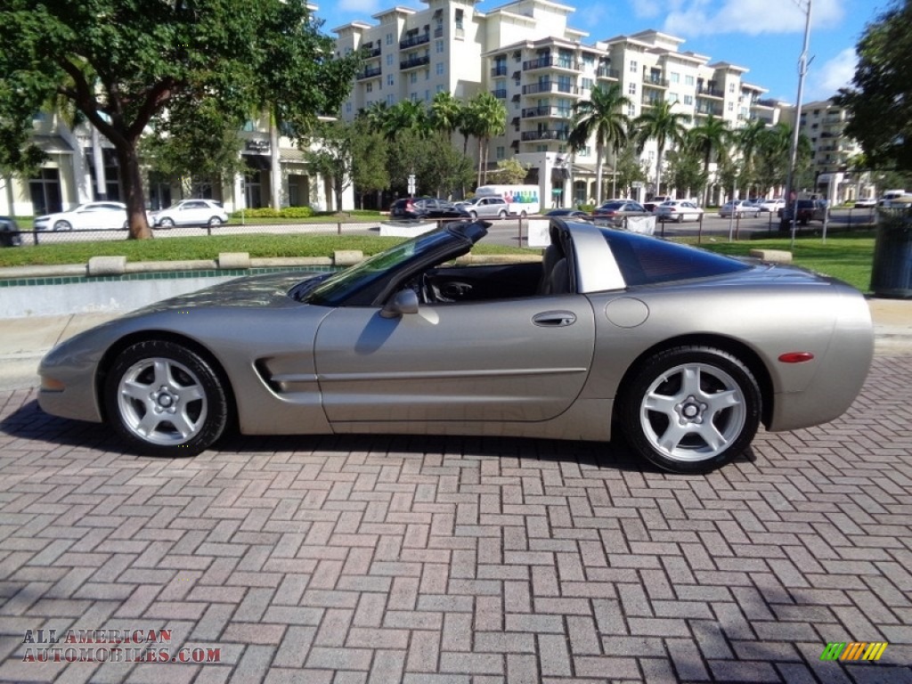 1999 Corvette Coupe - Light Pewter Metallic / Light Oak photo #19