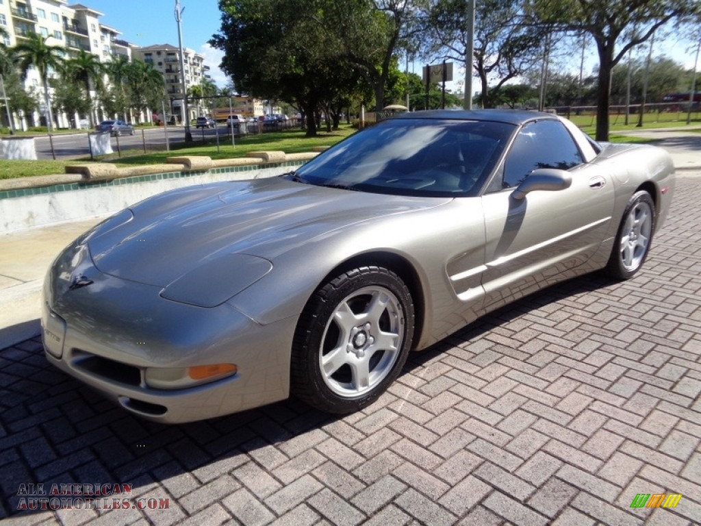 1999 Corvette Coupe - Light Pewter Metallic / Light Oak photo #24