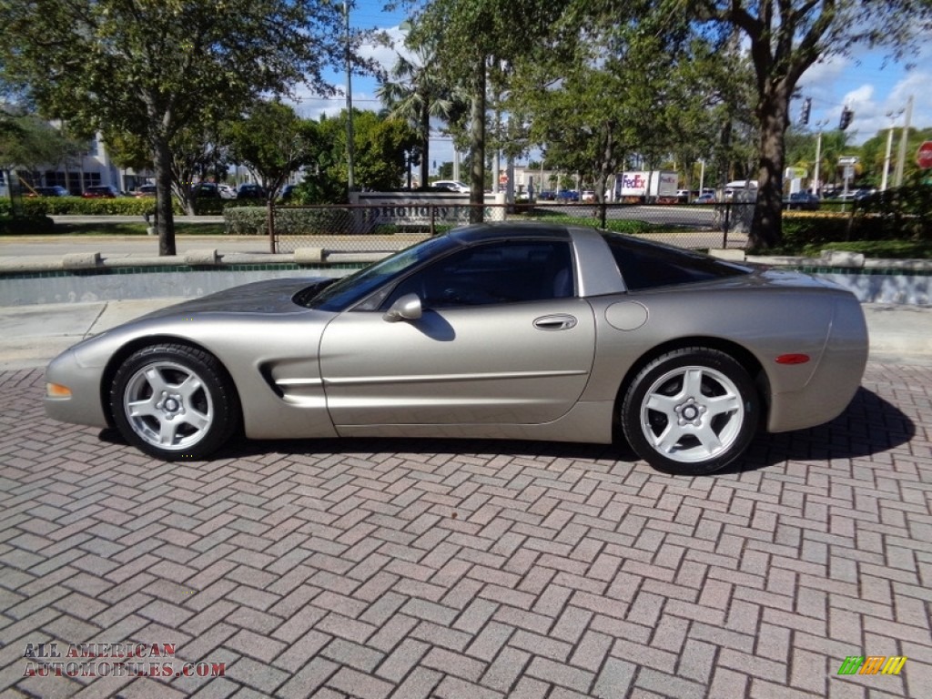 1999 Corvette Coupe - Light Pewter Metallic / Light Oak photo #26