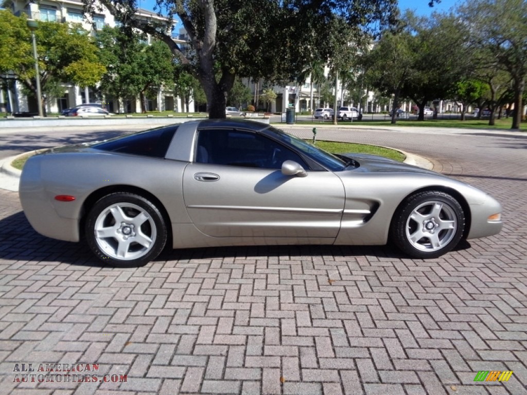 1999 Corvette Coupe - Light Pewter Metallic / Light Oak photo #34