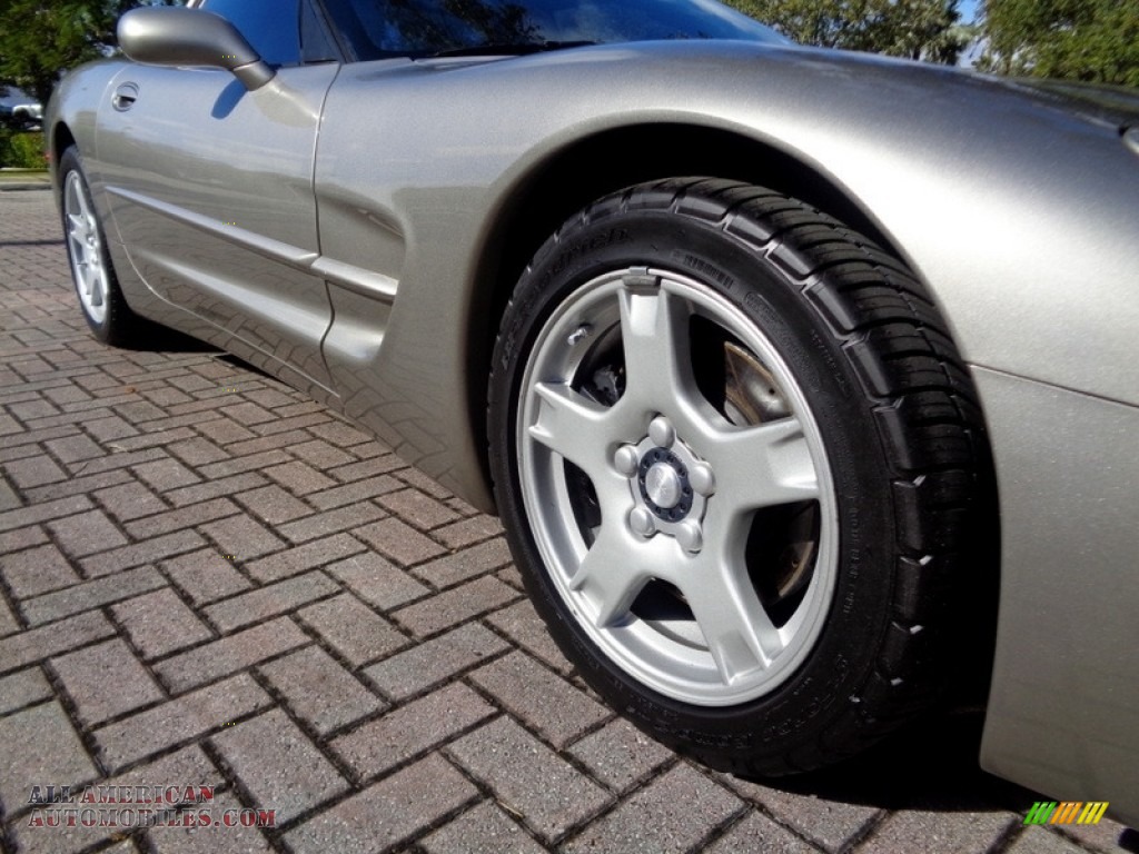 1999 Corvette Coupe - Light Pewter Metallic / Light Oak photo #41