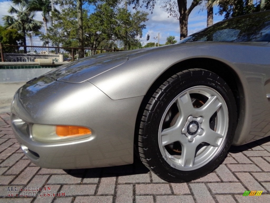 1999 Corvette Coupe - Light Pewter Metallic / Light Oak photo #43