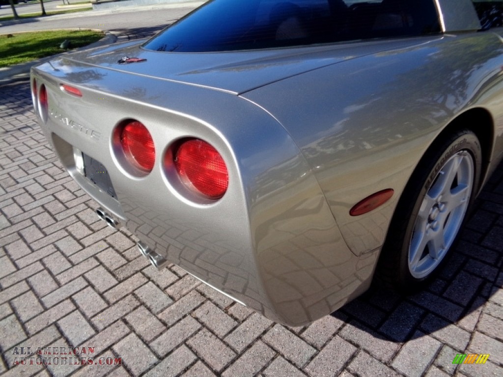 1999 Corvette Coupe - Light Pewter Metallic / Light Oak photo #56