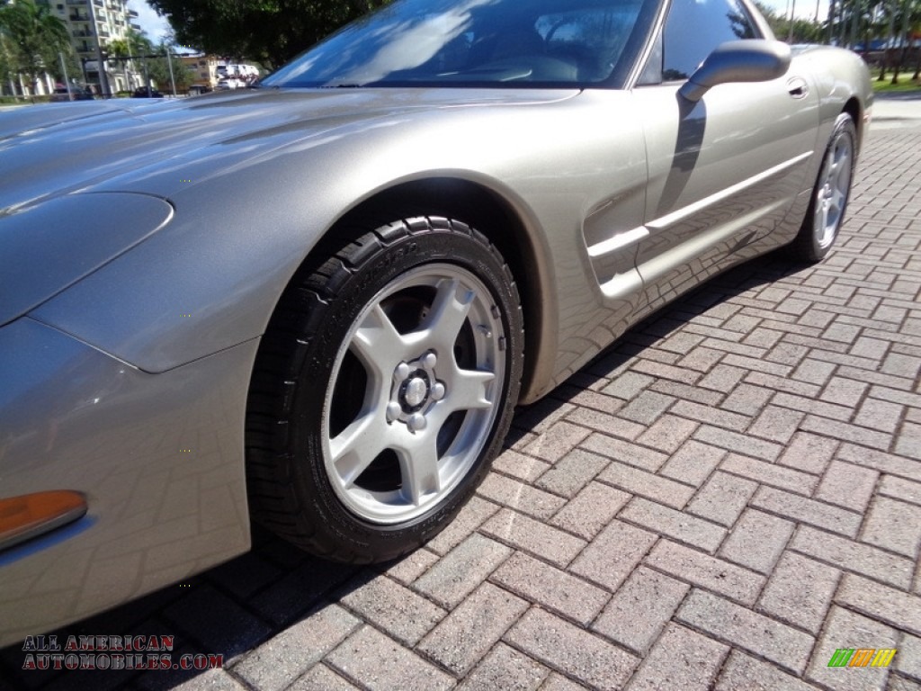 1999 Corvette Coupe - Light Pewter Metallic / Light Oak photo #61