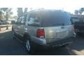 Ford Expedition XLT Silver Birch Metallic photo #6
