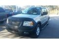 Ford Expedition XLT Silver Birch Metallic photo #8