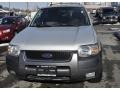 Ford Escape Limited V6 4WD Sterling Grey Metallic photo #2