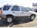 Ford Escape Limited V6 4WD Sterling Grey Metallic photo #4