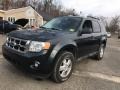 Ford Escape XLT 4WD Sterling Grey Metallic photo #2