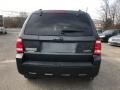 Ford Escape XLT 4WD Sterling Grey Metallic photo #6