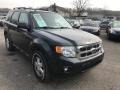 Ford Escape XLT 4WD Sterling Grey Metallic photo #10
