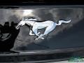 Ford Mustang EcoBoost Premium Convertible White Platinum photo #34
