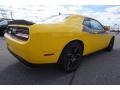 Dodge Challenger T/A YellowJacket photo #3