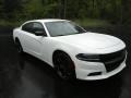 Dodge Charger SE White Knuckle photo #4
