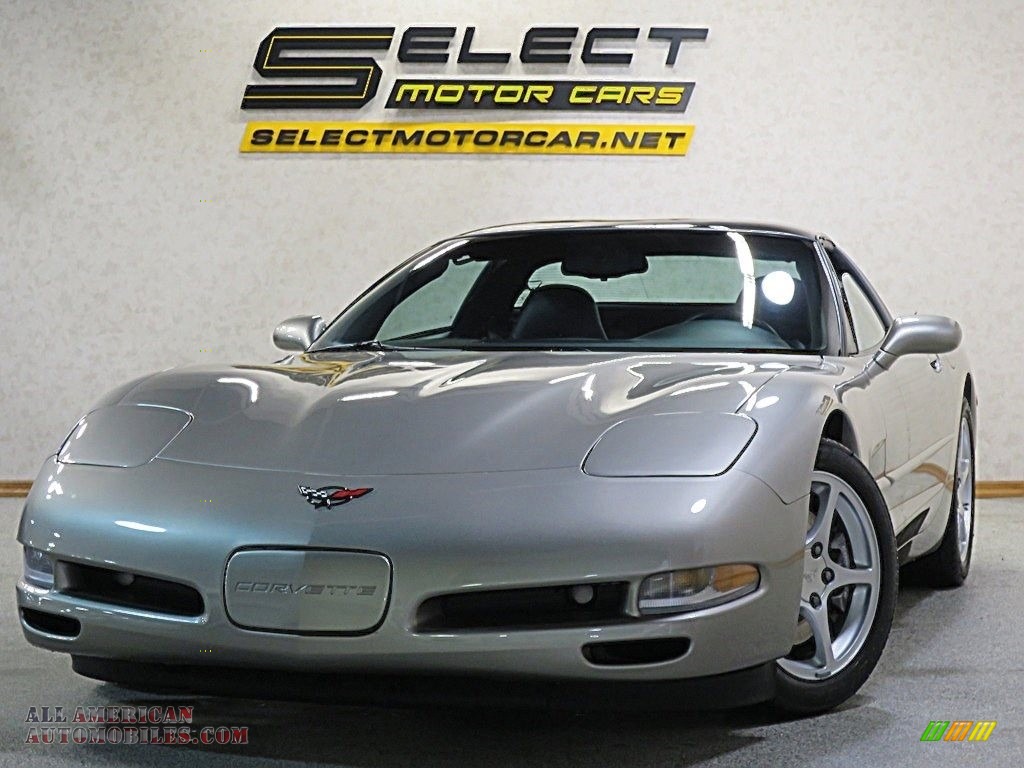 2000 Corvette Coupe - Light Pewter Metallic / Black photo #1