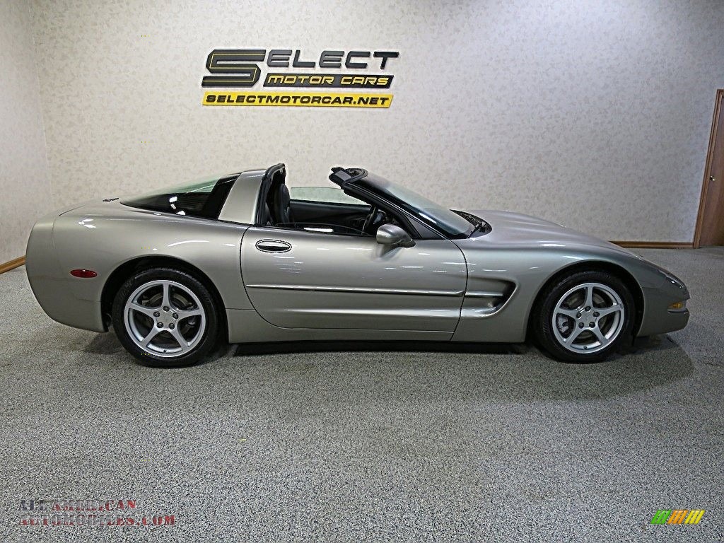 2000 Corvette Coupe - Light Pewter Metallic / Black photo #6