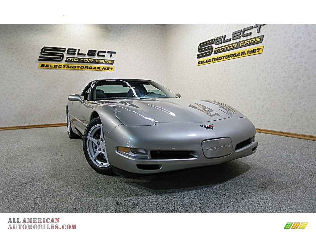 2000 Corvette Coupe - Light Pewter Metallic / Black photo #11
