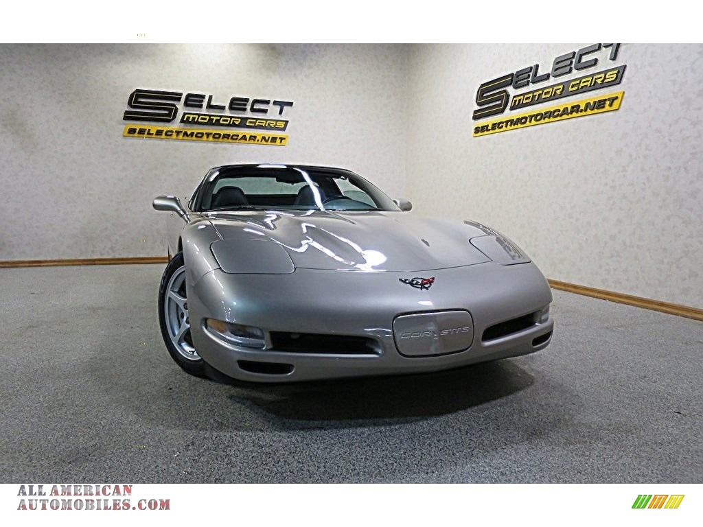 2000 Corvette Coupe - Light Pewter Metallic / Black photo #12