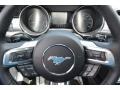 Ford Mustang Ecoboost Coupe Magnetic photo #16