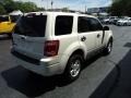 Ford Escape XLT 4WD White Suede photo #4