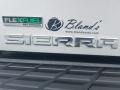 GMC Sierra 1500 Regular Cab 4x4 Quicksilver Metallic photo #4
