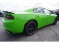 Dodge Charger SE Green Go photo #3