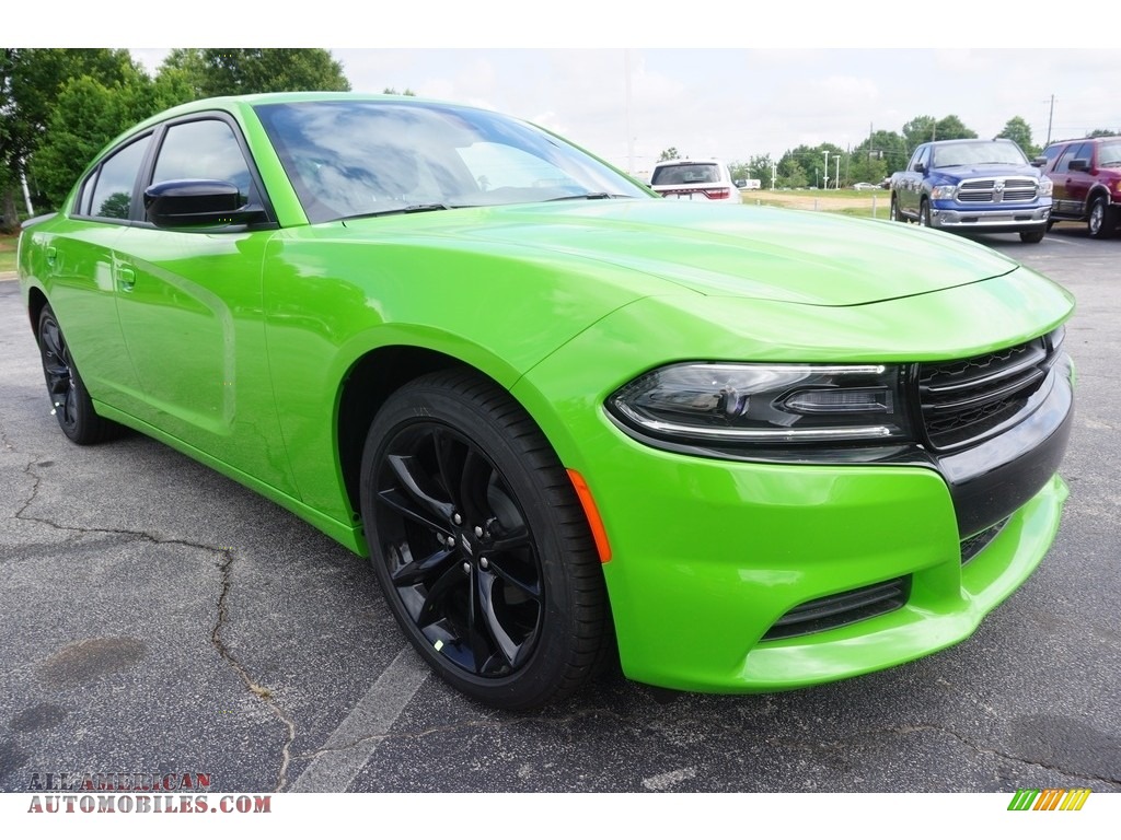 2017 Charger SE - Green Go / Black photo #4