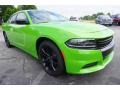 Dodge Charger SE Green Go photo #4