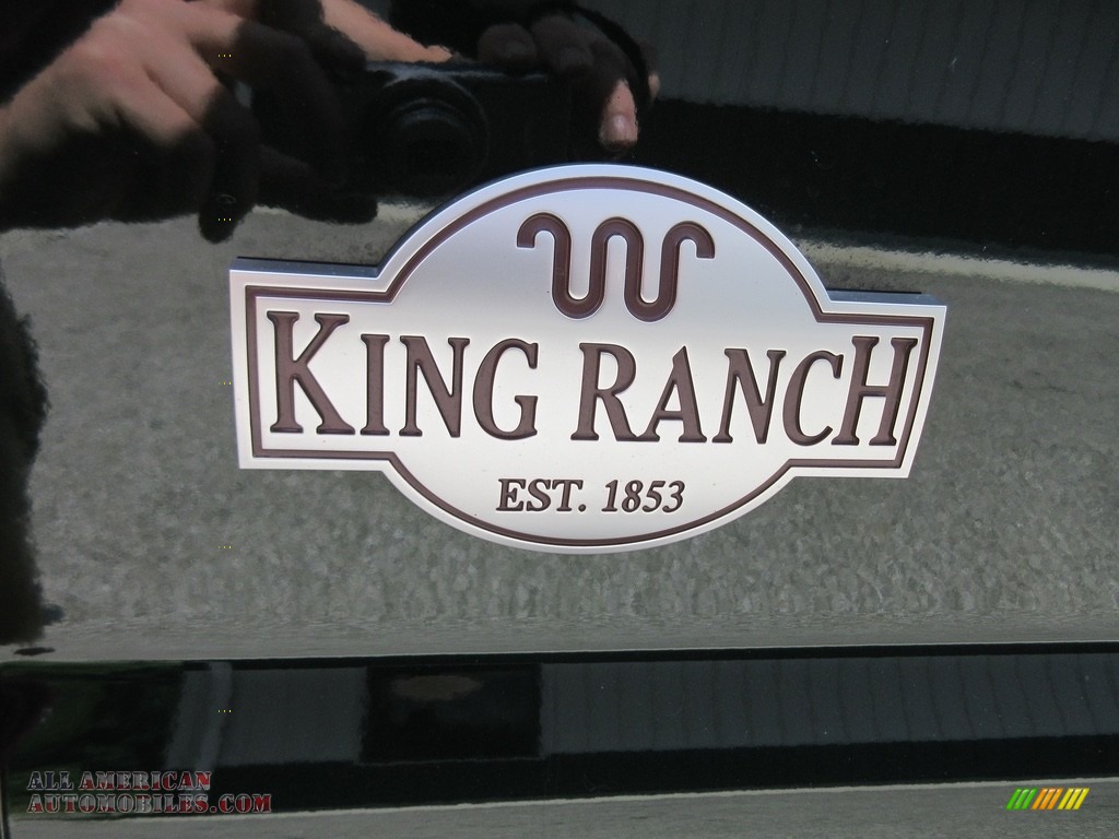 2016 F250 Super Duty King Ranch Crew Cab 4x4 - Green Gem Metallic / King Ranch Mesa/Adobe photo #17